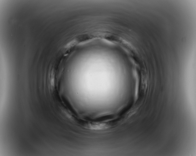 X0000086260334200704122014