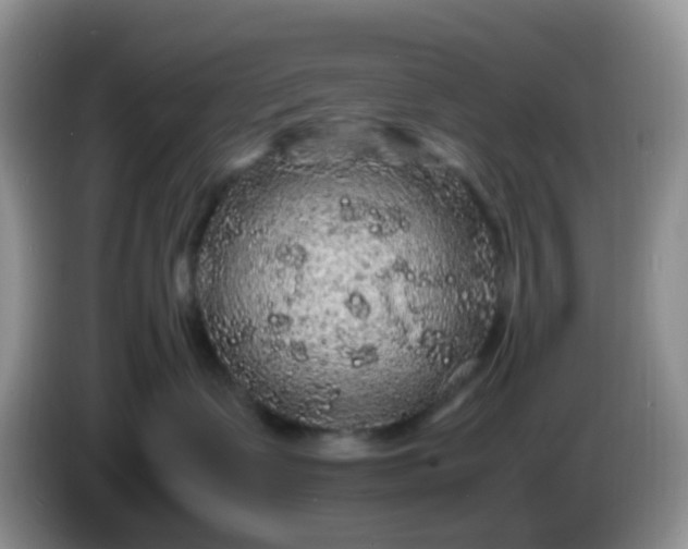 X0000086260335200704122014