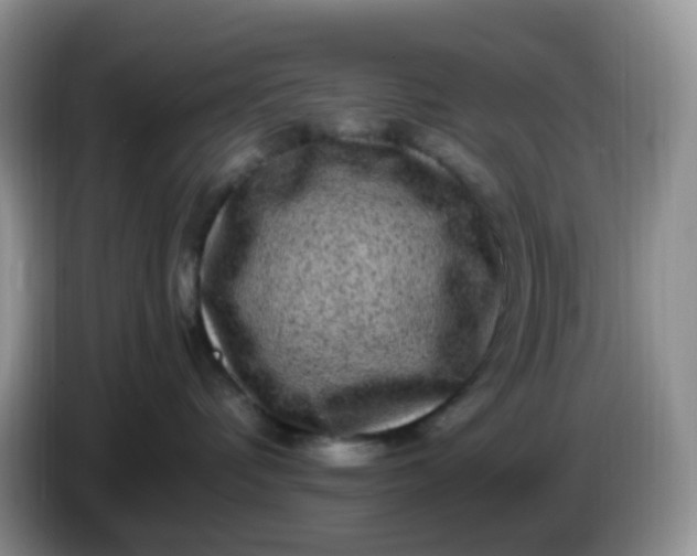 X0000086260336200704122014