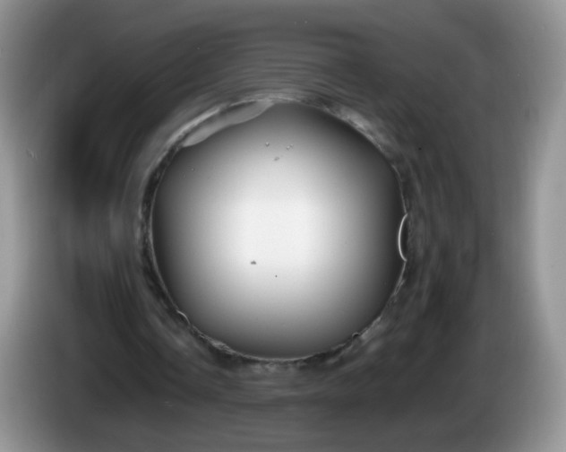 X0000086260338200704122014