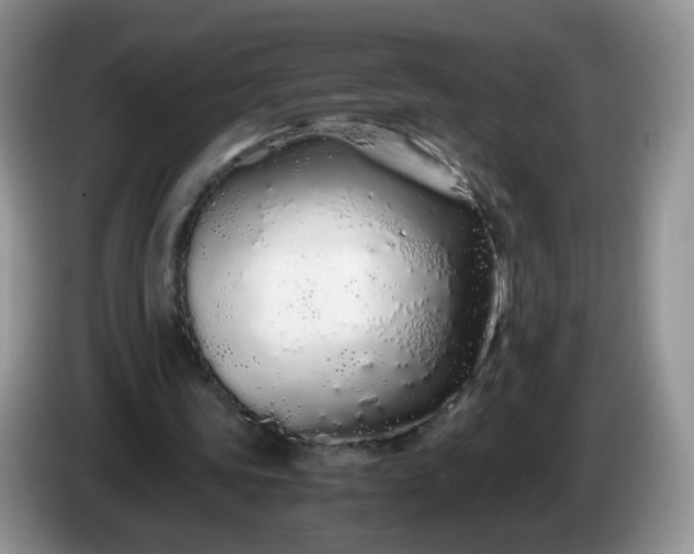 X0000086260339200704122014