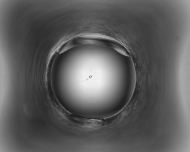 X0000086260340200704122014