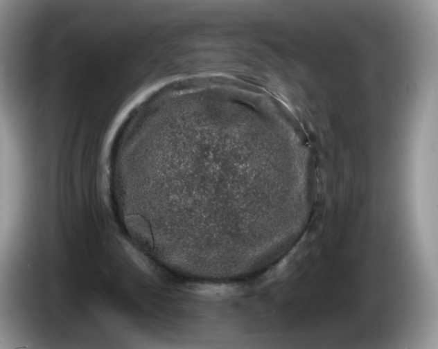 X0000086260342200704122014