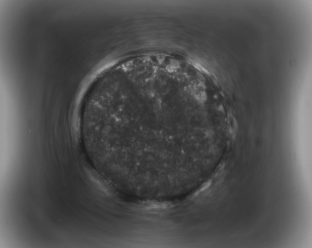 X0000086260343200704122014