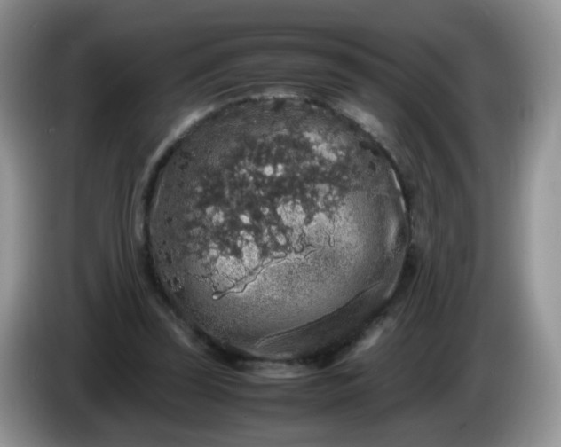 X0000086260347200704122014