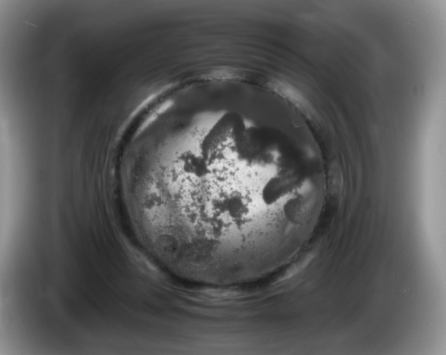 X0000086260351200704122014