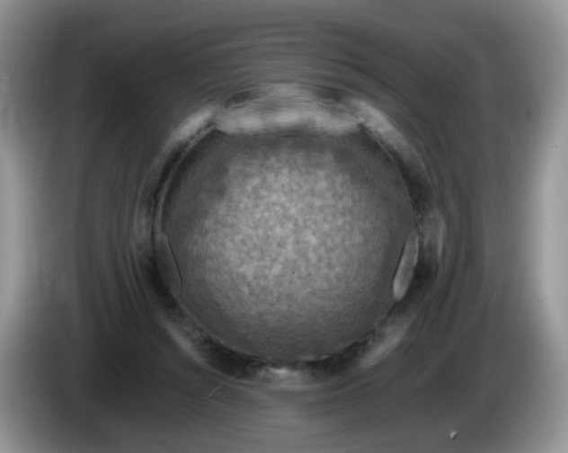 X0000086260352200704122014