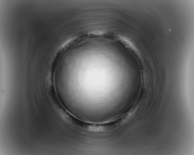 X0000086260354200704122014