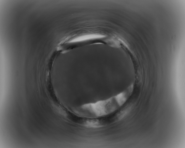 X0000086260355200704122014