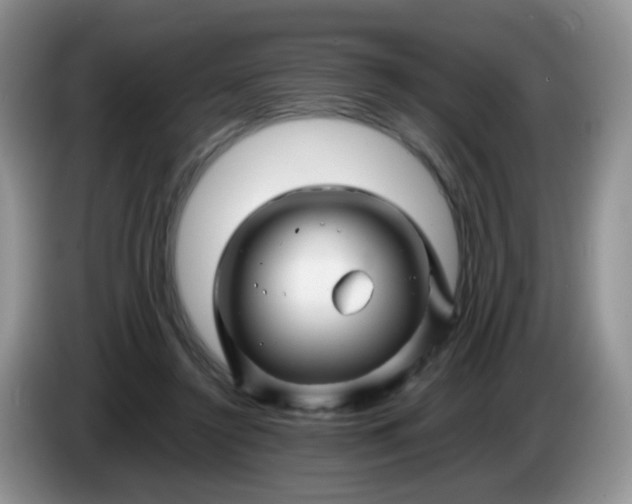 X0000086260356200704122014