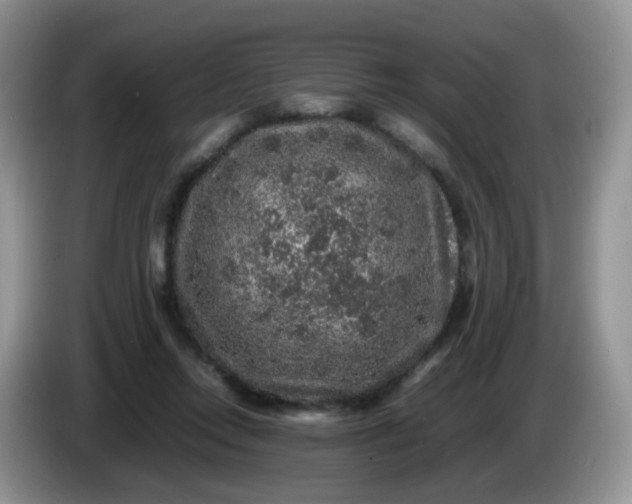 X0000086260358200704122014