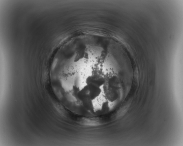 X0000086260359200704122014