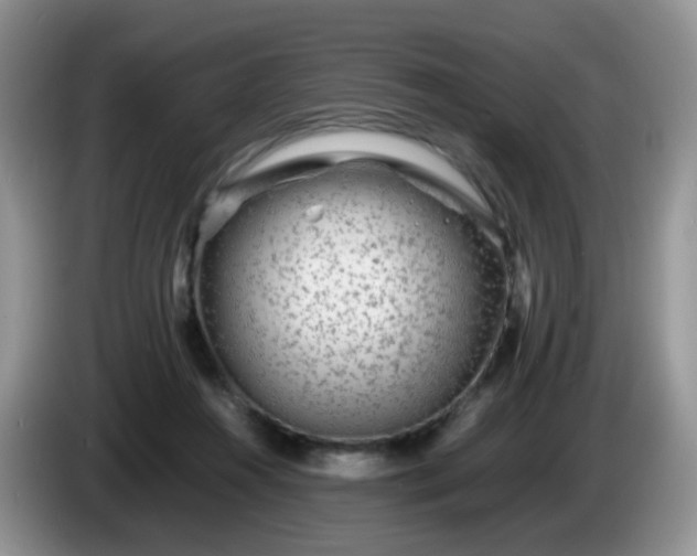 X0000086260360200704122014