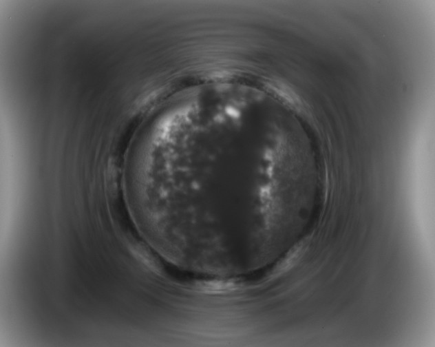 X0000086260366200704122014