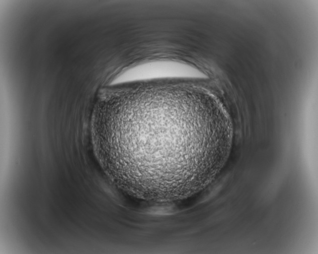 X0000086260369200704122014