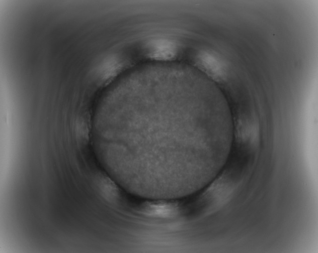 X0000086260370200704122014
