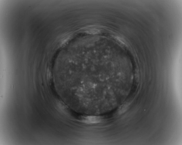 X0000086260371200704122014