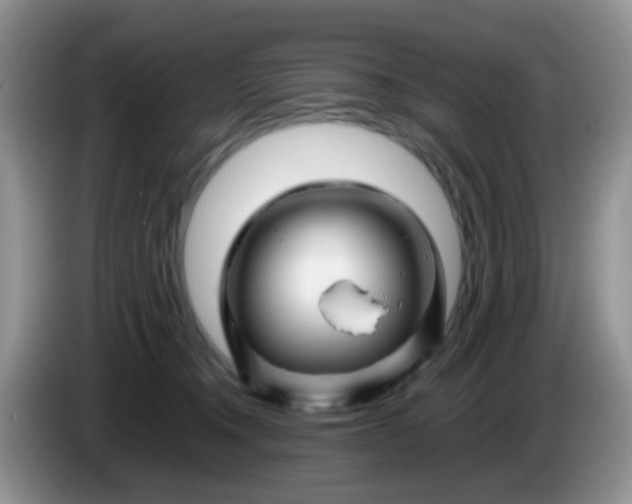 X0000086260372200704122014