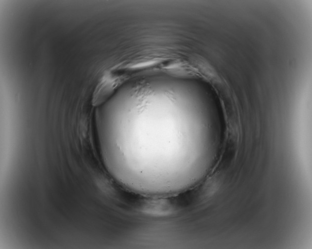 X0000086260374200704122014