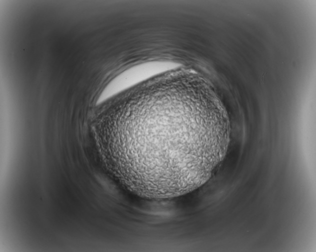 X0000086260375200704122014