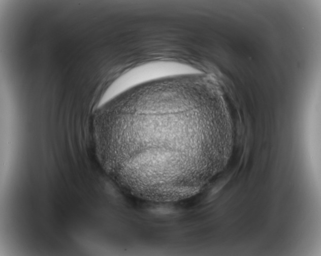 X0000086260377200704122014