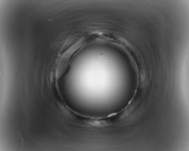 X0000086260379200704122014