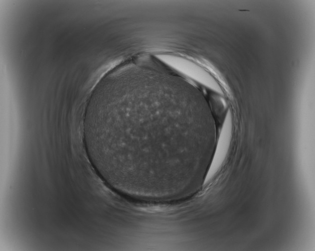X0000086260385200704122014