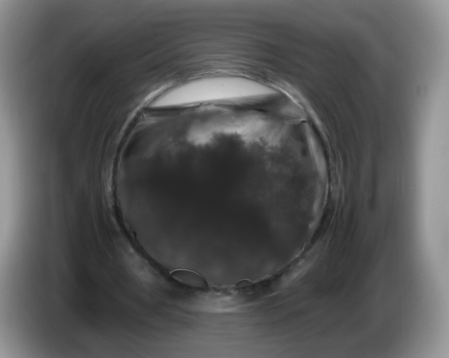 X0000086260386200704122014