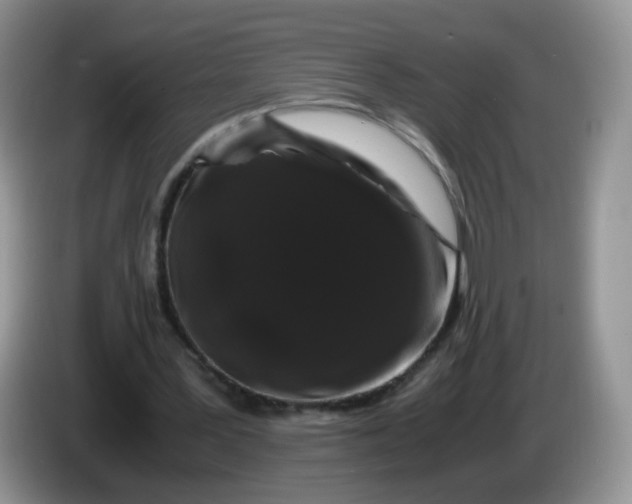X0000086260387200704122014