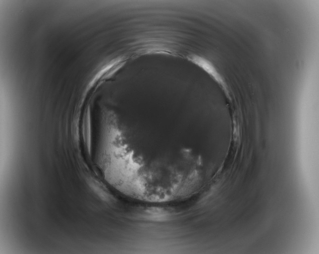 X0000086260390200704122014