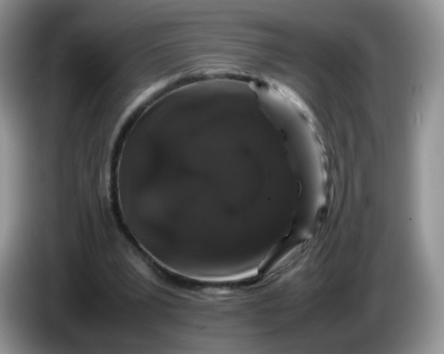 X0000086260391200704122014