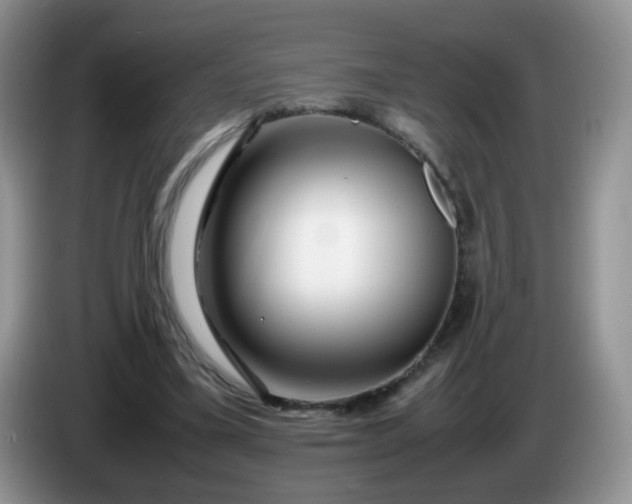 X0000086260395200704122014