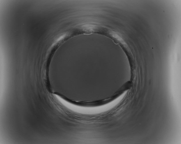 X0000086260399200704122014