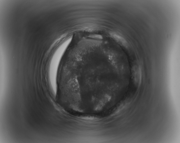 X0000086260400200704122014