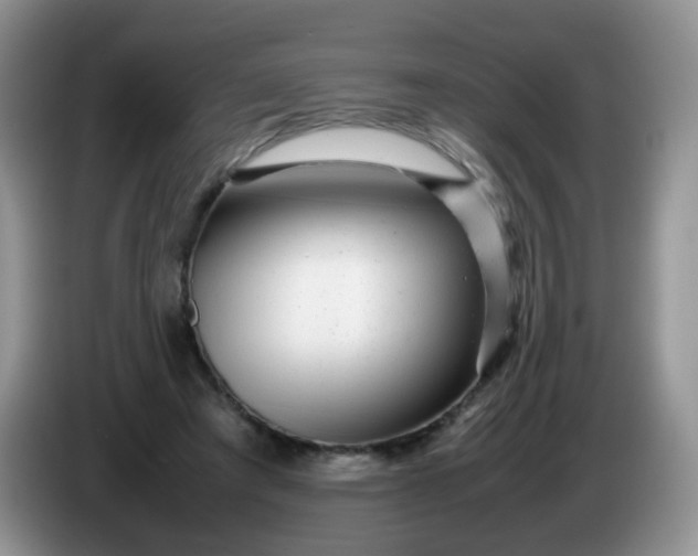 X0000086260401200704122014