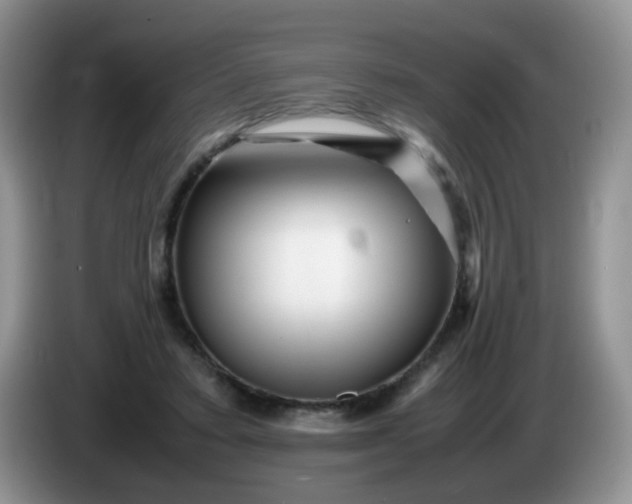 X0000086260403200704122014