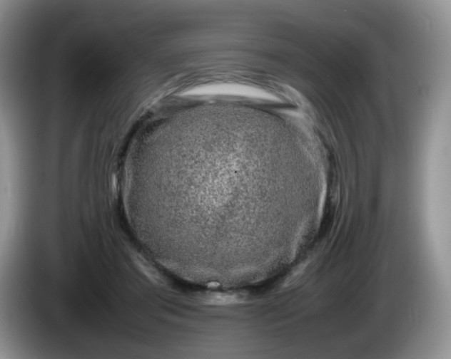 X0000086260405200704122014