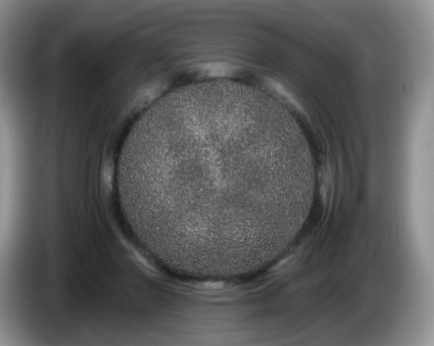 X0000086260406200704122014