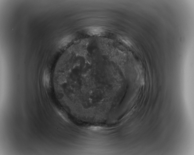 X0000086260408200704122014