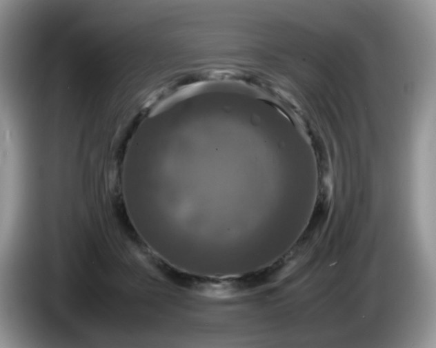 X0000086260411200704122014