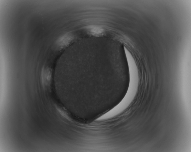 X0000086260412200704122014