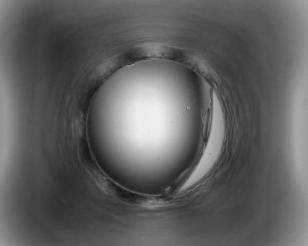 X0000086260413200704122014