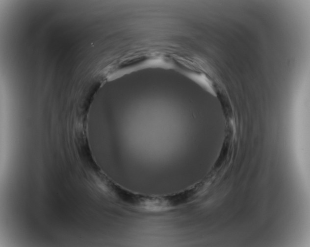 X0000086260415200704122014