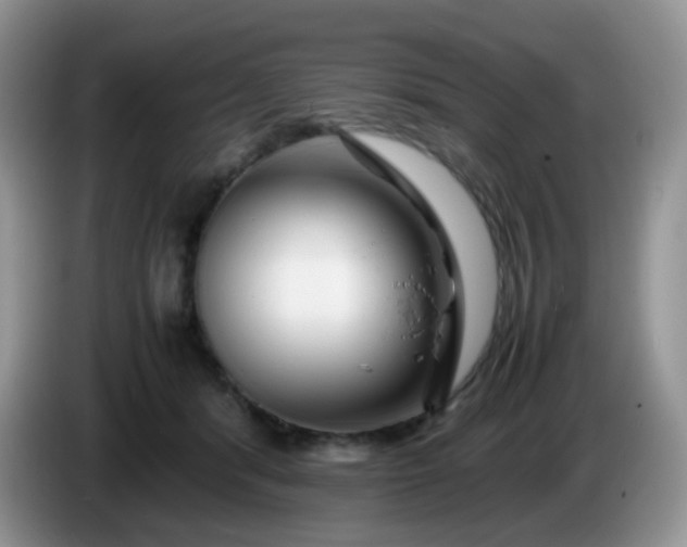 X0000086260416200704122014