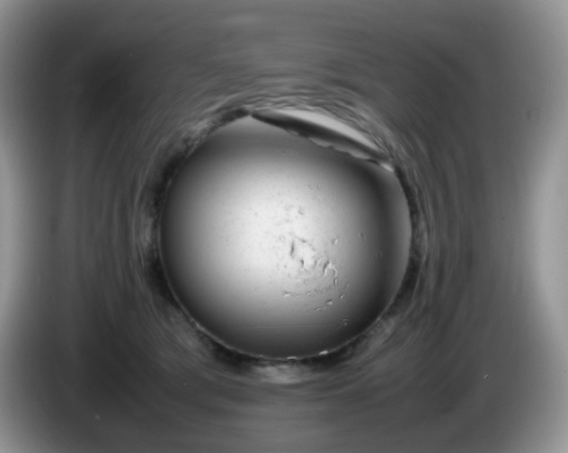 X0000086260417200704122014