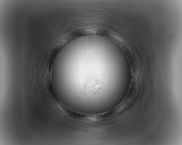 X0000086260418200704122014