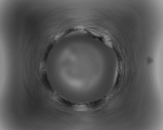 X0000086260419200704122013