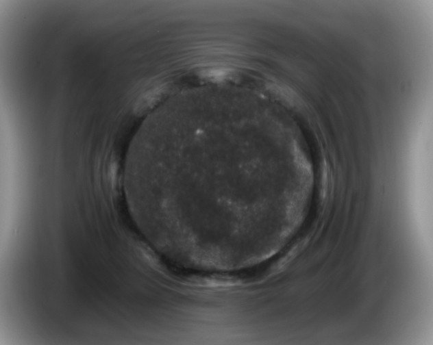 X0000086260420200704122013