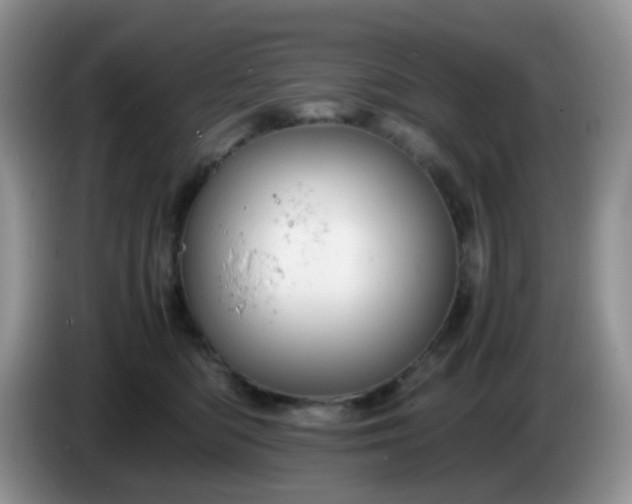 X0000086260422200704122013