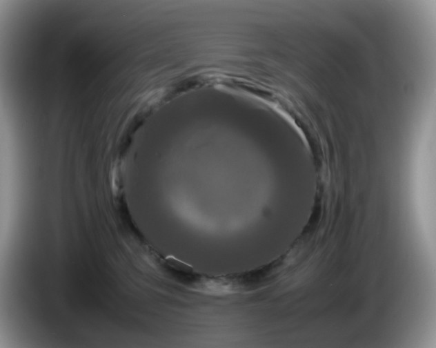 X0000086260423200704122013